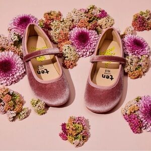 Ten Little Velvet Ballet Flats